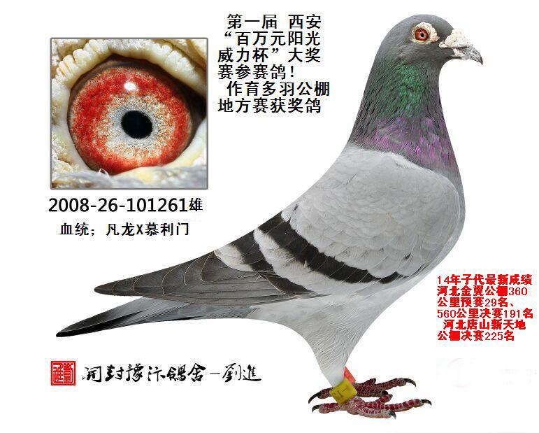 Ľ