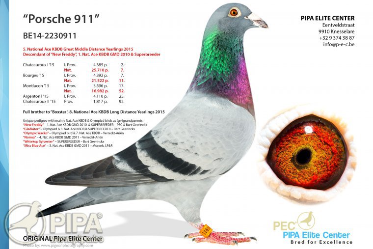 “保时捷911.jpg “保时捷911.jpg