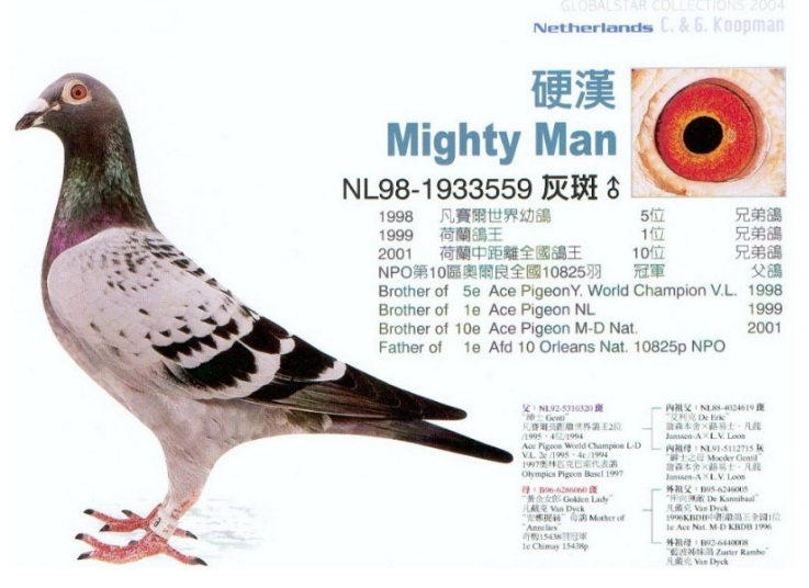 从毫不起眼到超级种公,考夫曼的"硬汉"杠杠滴