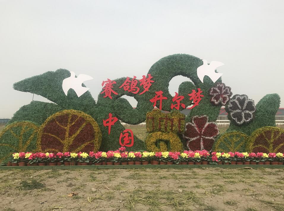 开尔现场1.jpg