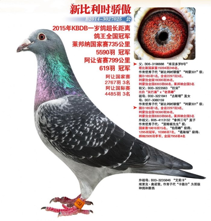 “新比利时骄傲”_副本.jpg
