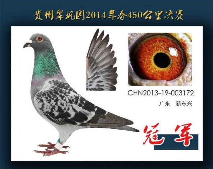 14年决赛冠军.jpg 14年决赛冠军.jpg