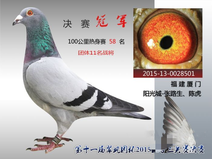 15年决赛冠军.jpg 15年决赛冠军.jpg