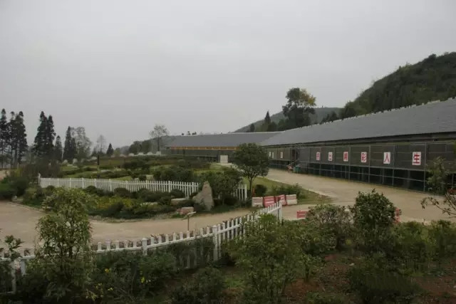 640.webp.jpg 640.webp.jpg