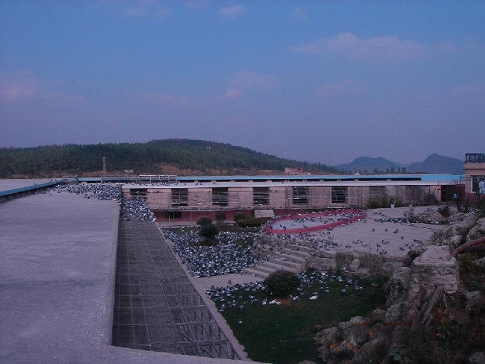 089035f0-9510-4030-bc5b-69dce0dc8e08_xxxx.JPG 089035f0-9510-4030-bc5b-69dce0dc8e08_xxxx.JPG