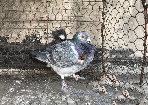 GR`KQ23L_2X~MK7{A_IJ`)J_副本.jpg GR`KQ23L_2X~MK7{A_IJ`)J_副本.jpg