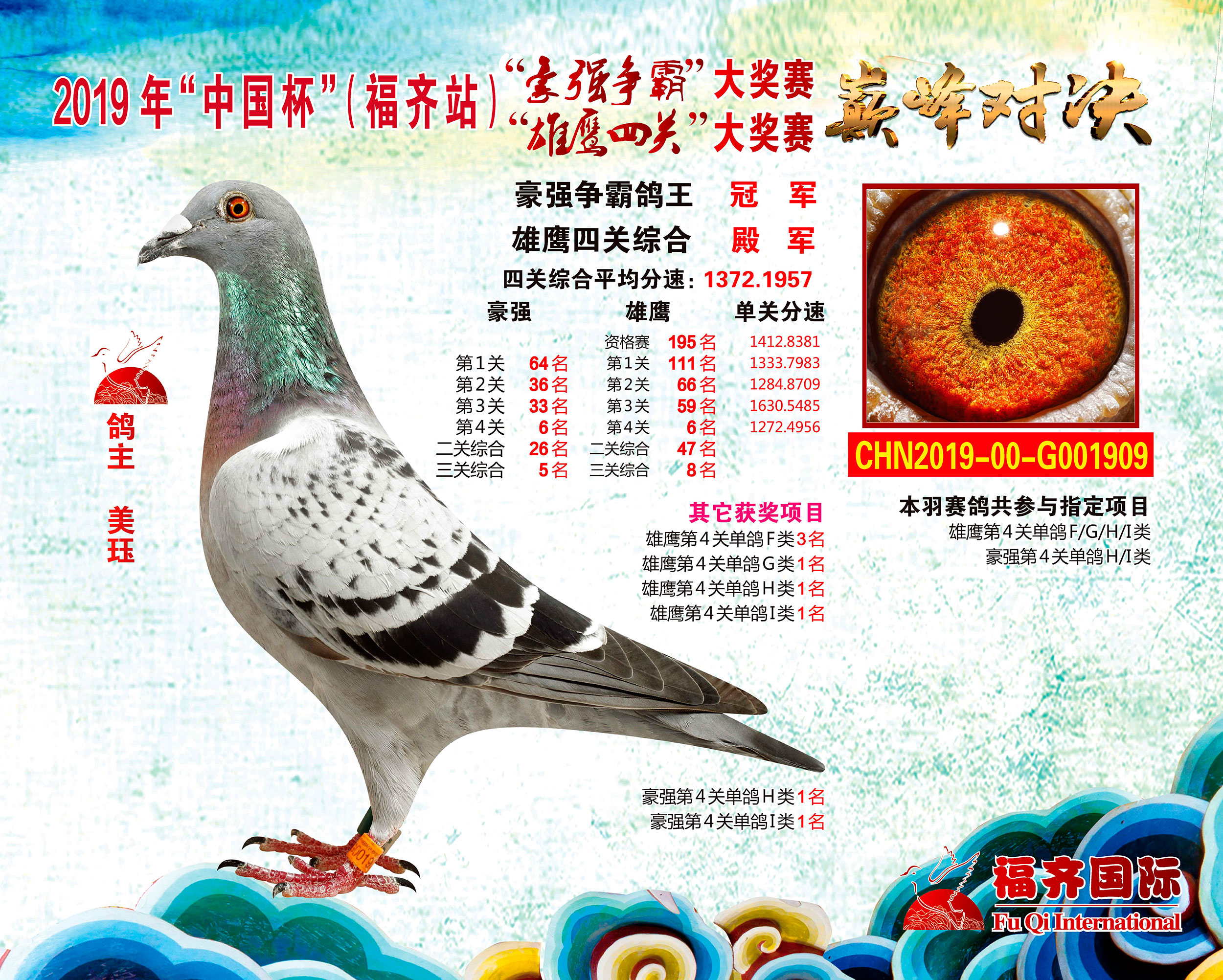 爱鸽--中国信鸽信息网相册
