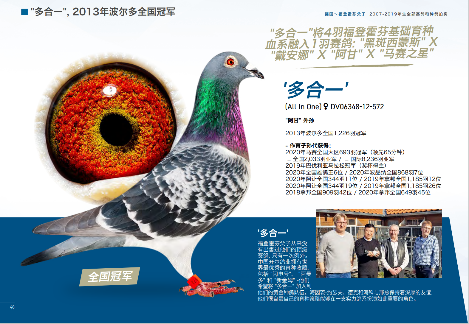 飞扬赛鸽摄影专业制作信鸽照片-中国信鸽信息网 www.chinaxinge.com