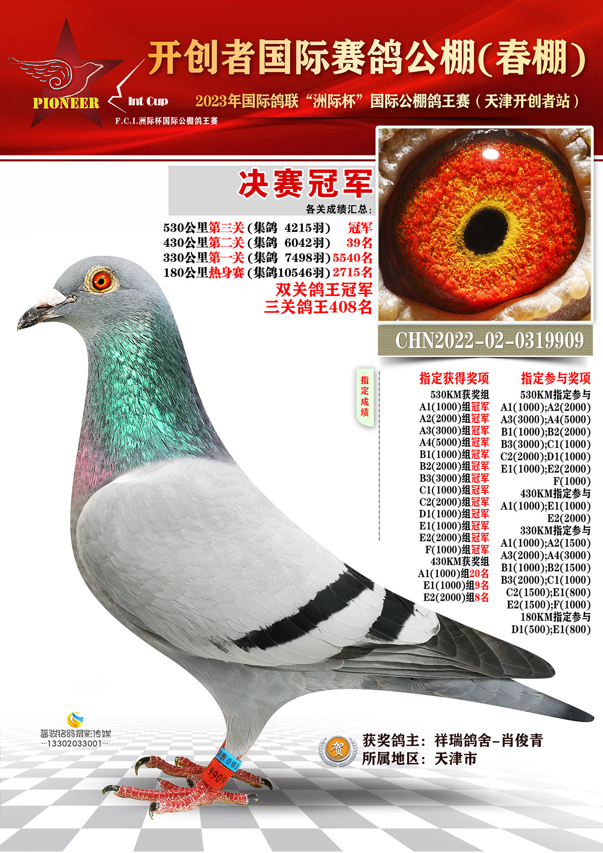 2021年种鸽配对如下：_藏经阁_赛鸽资讯网
