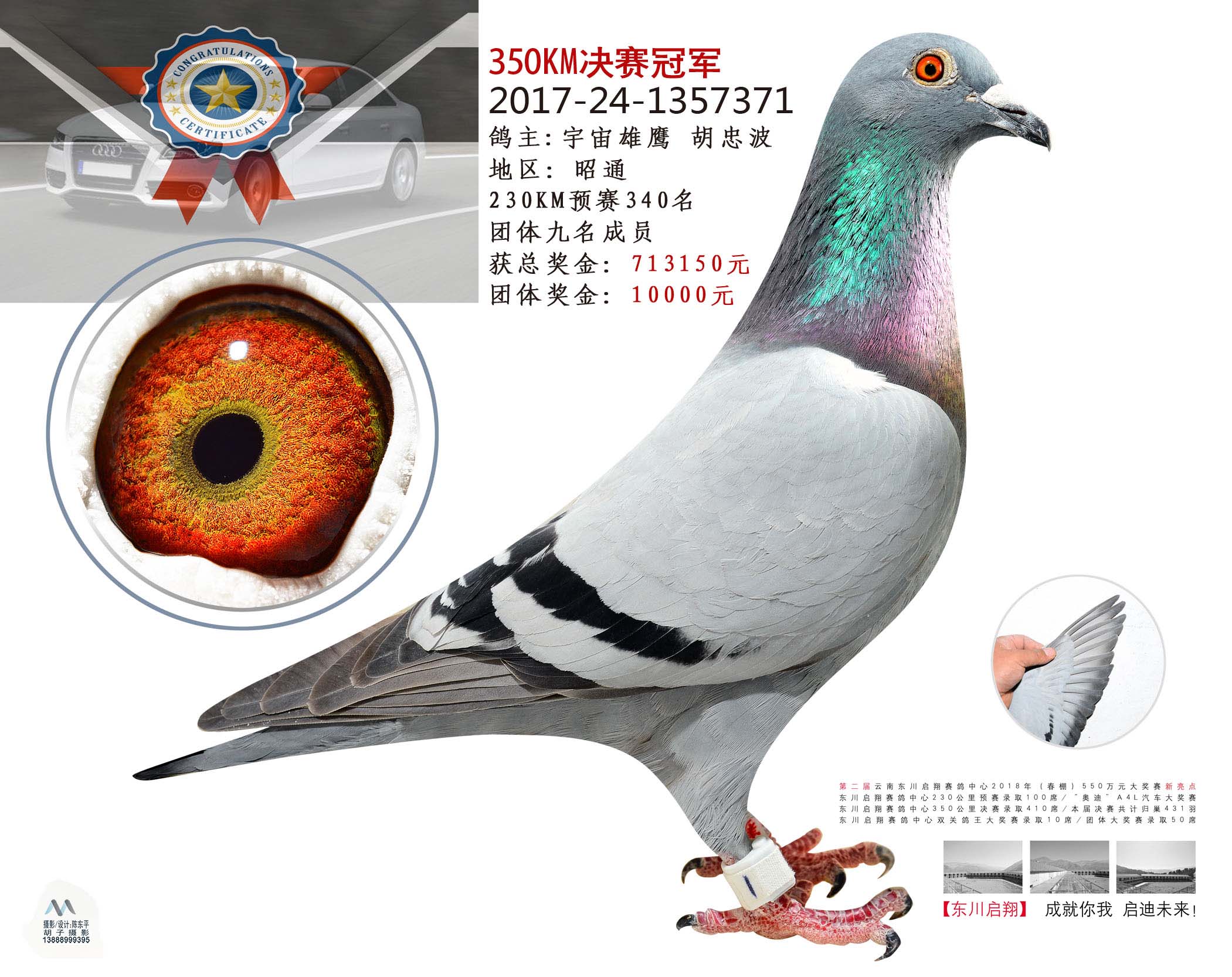 云南春赛落幕冠军鸽斩获二十二项指定冠军