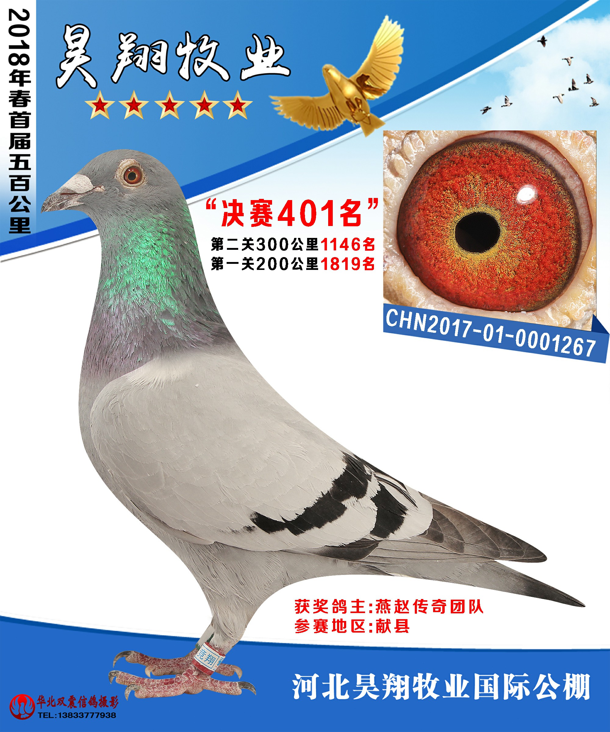 河北昊翔牧业春棚决赛401-450名成绩鸽