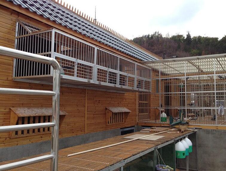 鸽棚防强拆护身符