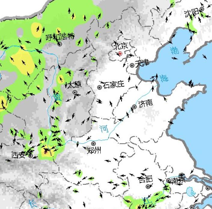 郑州信力公棚第一关200公里开笼 数据成绩链接!
