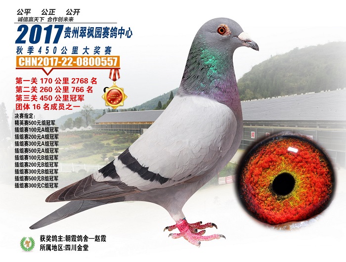 公棚冠军风云榜系列贵州翠枫园