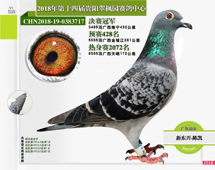 公棚冠军风云榜系列贵州翠枫园